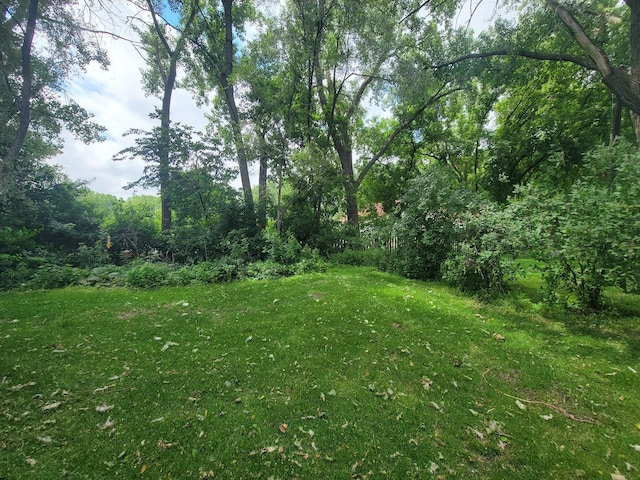 2729 Parkhaven Ct N, Brooklyn Park, MN 55444 - view of grassy yard with a forest view