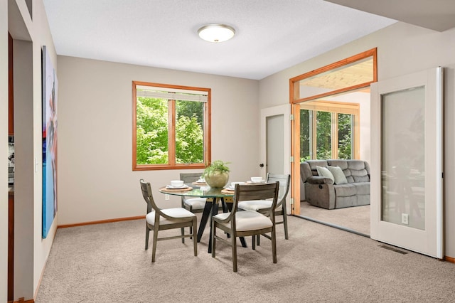 16551 Irwinton Cir, Lakeville, MN 55044 - photo 8