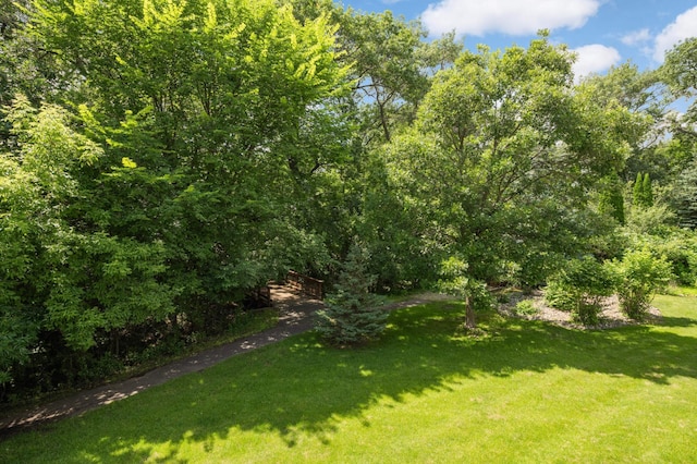 16551 Irwinton Cir, Lakeville, MN 55044 - photo 35