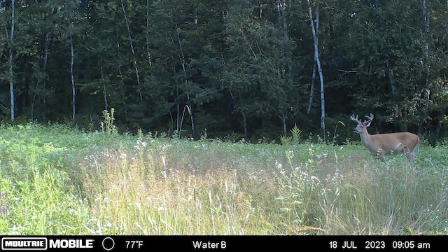 28562 Cross Lake Rd, Mission Creek Twp, MN 55037