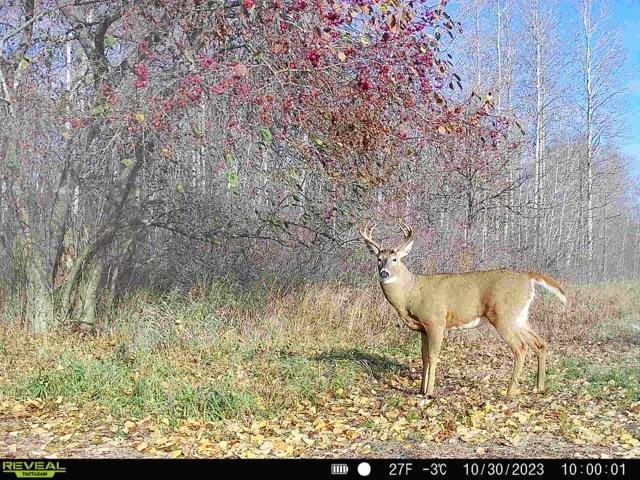 28562 Cross Lake Rd, Mission Creek Twp, MN 55037