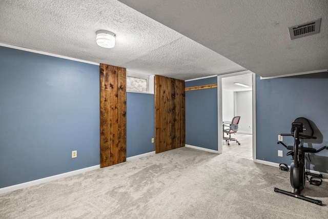 2717 22nd St, Minneapolis, MN 55406 - exercise room featuring a textured ceiling and carpet flooring