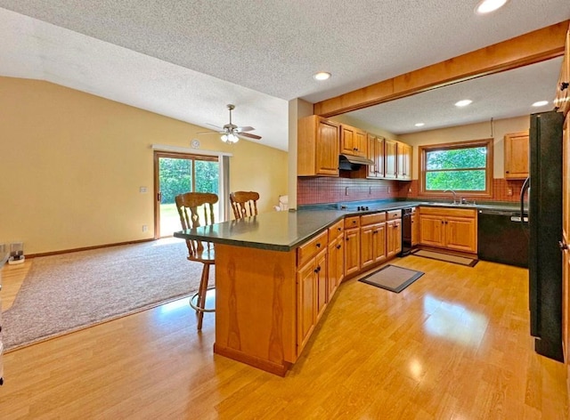 2117 Isleview Rd, Grand Rapids, MN 55744 - kitchen featuring under cabinet range hood, light wood-type flooring, a kitchen breakfast bar, dishwasher, and a textured ceiling