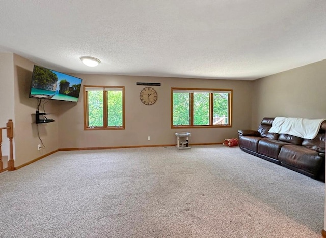 2117 Isleview Rd, Grand Rapids, MN 55744 - unfurnished living room with healthy amount of natural light, carpet floors, and a textured ceiling