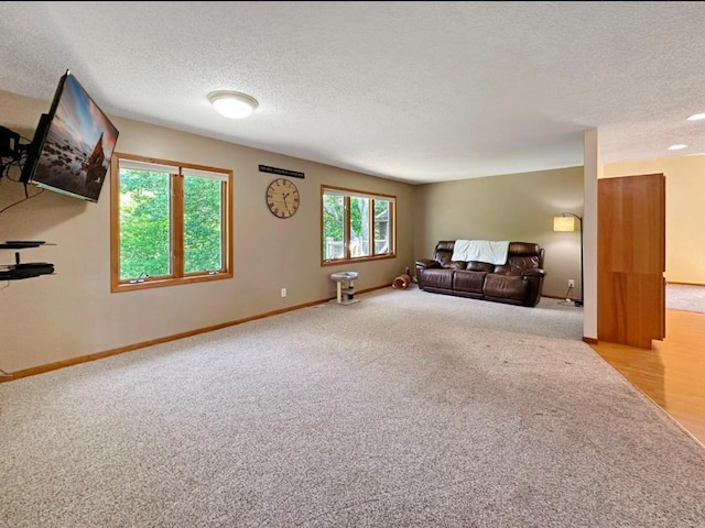2117 Isleview Rd, Grand Rapids, MN 55744 - unfurnished living room featuring a textured ceiling and carpet