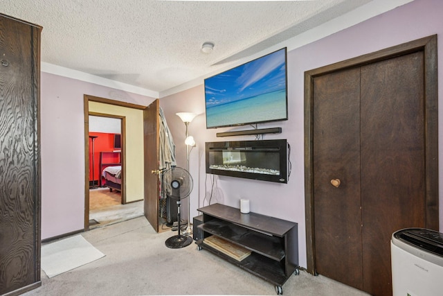 6429 Maple St, North Branch, MN 55056 - carpeted living room featuring a textured ceiling