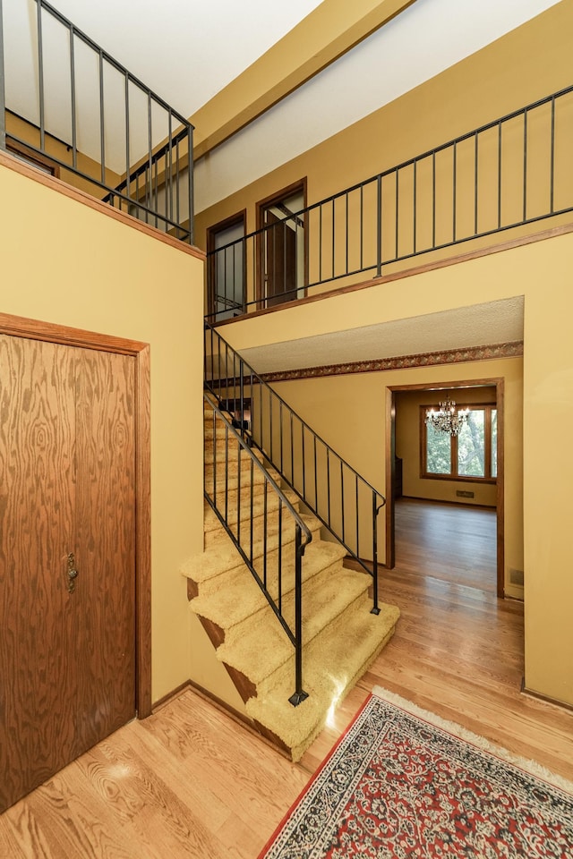 2717 Oslo Ct NE, Rochester, MN 55906 - photo 5