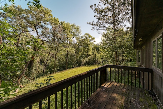 2717 Oslo Ct NE, Rochester, MN 55906 - photo 37