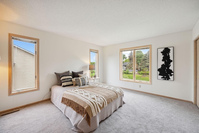 790 Winterberry Dr, Woodbury, MN 55125 - carpeted bedroom with multiple windows and a textured ceiling