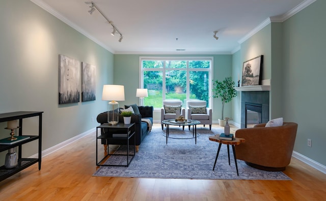 510 Grand Ave Unit 101, Saint Paul, MN 55102 - living area with wood finished floors, a fireplace, crown molding, and rail lighting
