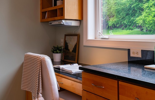 510 Grand Ave Unit 101, Saint Paul, MN 55102 - view of office