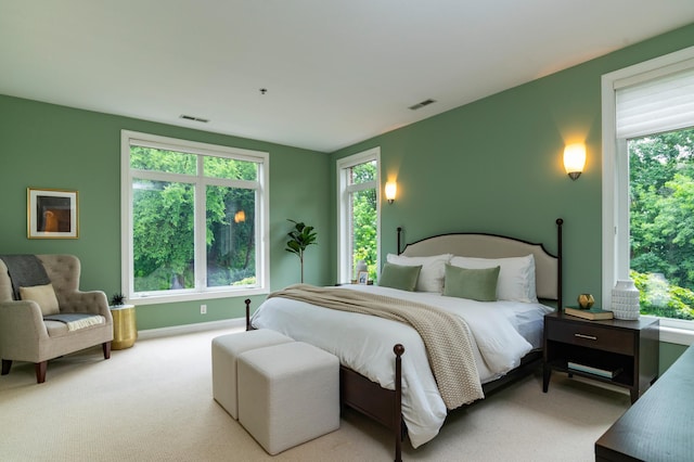 510 Grand Ave Unit 101, Saint Paul, MN 55102 - bedroom featuring light carpet and baseboards