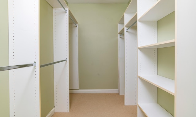 510 Grand Ave Unit 101, Saint Paul, MN 55102 - walk in closet with light carpet