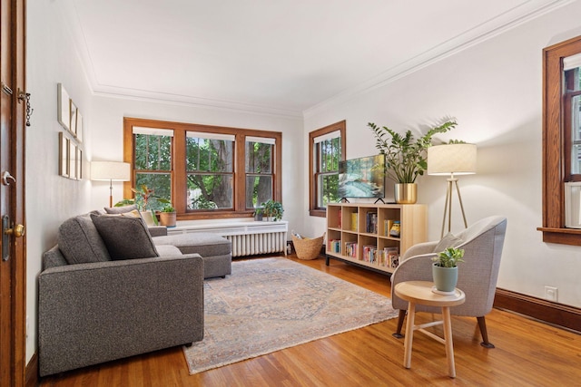3533 Pleasant Ave Unit 3, Minneapolis, MN 55408 - living area featuring wood finished floors, healthy amount of natural light, crown molding, and radiator heating unit