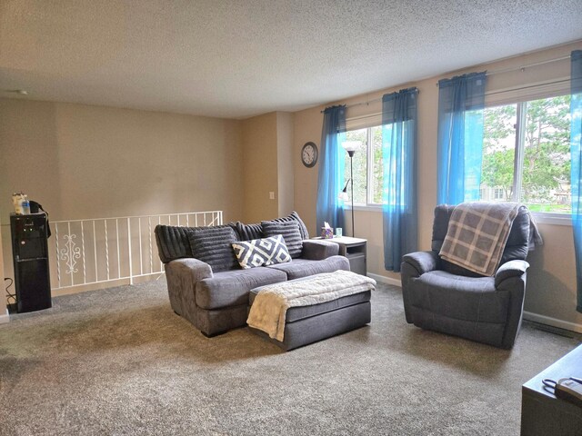 11348 Ibis St NW, Coon Rapids, MN 55433 - living room featuring carpet flooring and a textured ceiling