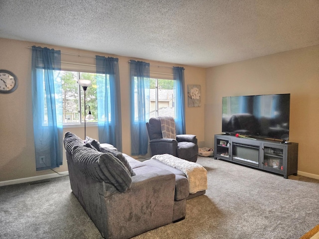 11348 Ibis St NW, Coon Rapids, MN 55433 - carpeted living room with a textured ceiling