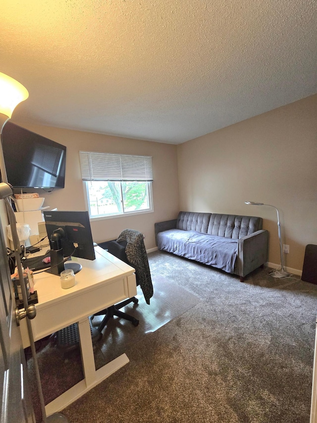 11348 Ibis St NW, Coon Rapids, MN 55433 - carpeted bedroom featuring a textured ceiling and an office area