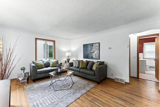 4951 Newton Ave N, Minneapolis, MN 55430 - living room featuring a textured ceiling and wood finished floors
