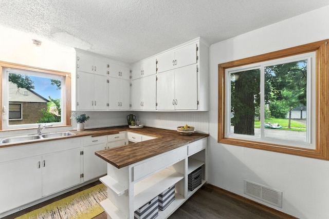 4951 Newton Ave N, Minneapolis, MN 55430 - kitchen featuring wood finished floors, white cabinetry, a textured ceiling, and open shelves