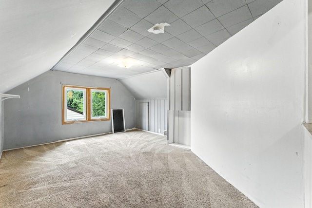 4951 Newton Ave N, Minneapolis, MN 55430 - bonus room with carpet floors and vaulted ceiling