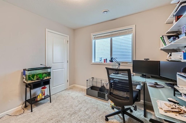 6908 101st St S, Cottage Grove, MN 55016 - office with baseboards and carpet floors