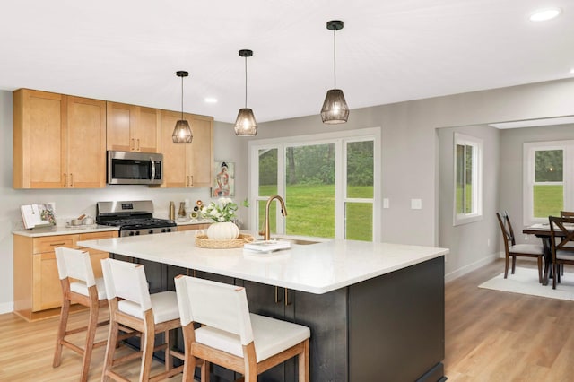 2040 Vagabond Ln N, Plymouth, MN 55447 - photo 6