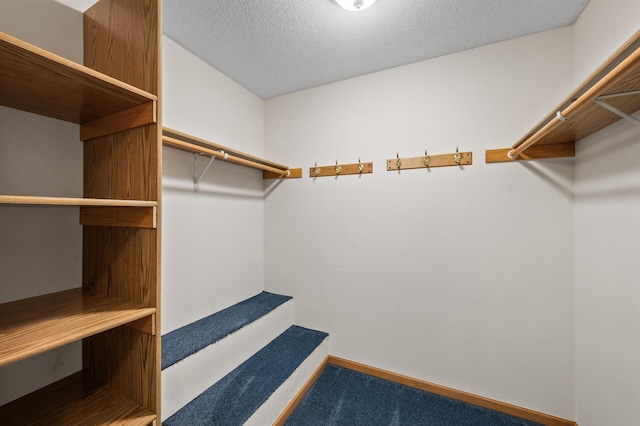 11154 16th St NE, Saint Michael, MN 55376 - photo 18
