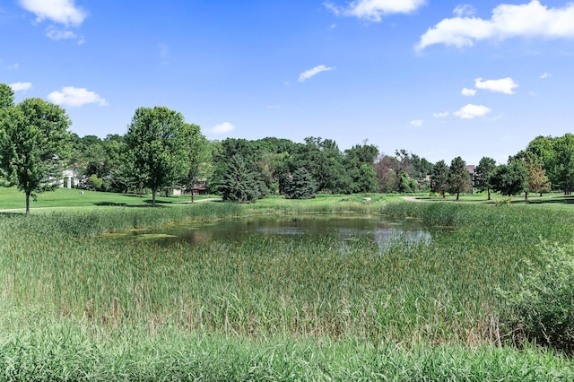 11154 16th St NE, Saint Michael, MN 55376 - photo 42