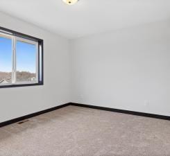 6664 Heritage Ave, Lino Lakes, MN 55038 - photo 14