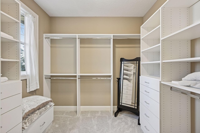 7530 Quail Ridge Trl, Greenfield, MN 55373 - walk in closet featuring light colored carpet