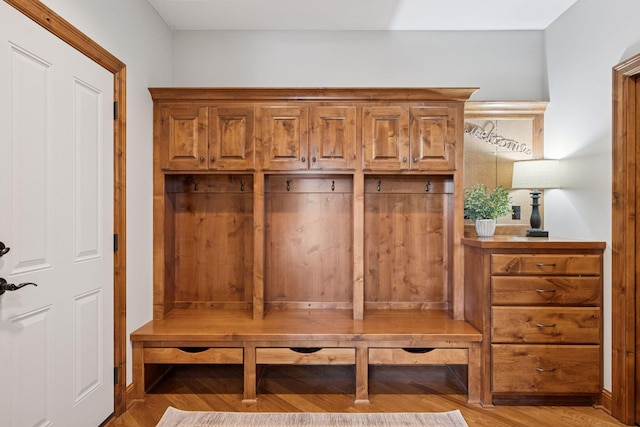 7530 Quail Ridge Trl, Greenfield, MN 55373 - mudroom with light wood-style flooring