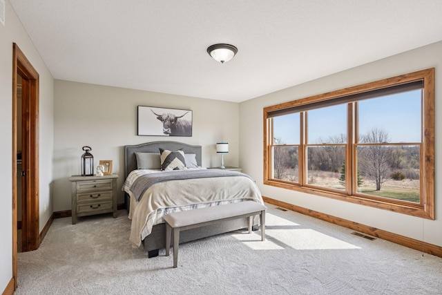 7530 Quail Ridge Trl, Greenfield, MN 55373 - bedroom featuring baseboards and light colored carpet