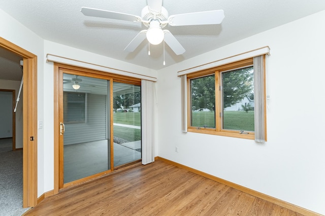 723 Park Dr, Spring Valley, MN 55975 - photo 12