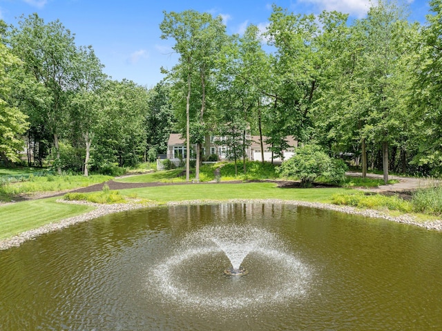 2261 Ash St, Lino Lakes, MN 55110 - water view
