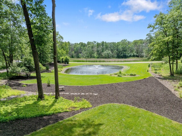 2261 Ash St, Lino Lakes, MN 55110 - surrounding community featuring a water view and a lawn