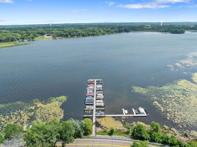 2261 Ash St, Lino Lakes, MN 55110 - aerial view of a nearby body of water