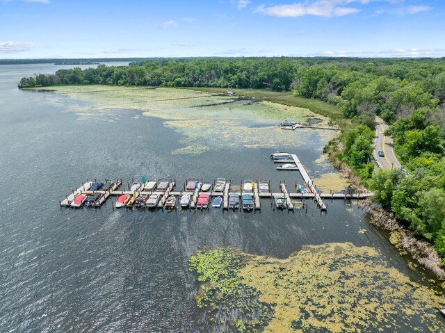 2261 Ash St, Lino Lakes, MN 55110 - aerial view of a large body of water and a marina