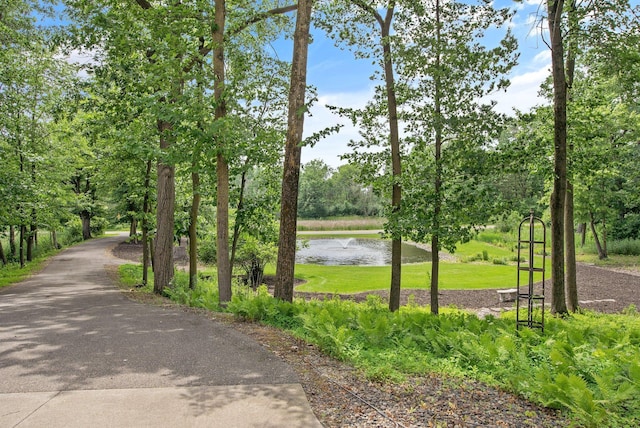 2261 Ash St, Lino Lakes, MN 55110 - view of community featuring a water view