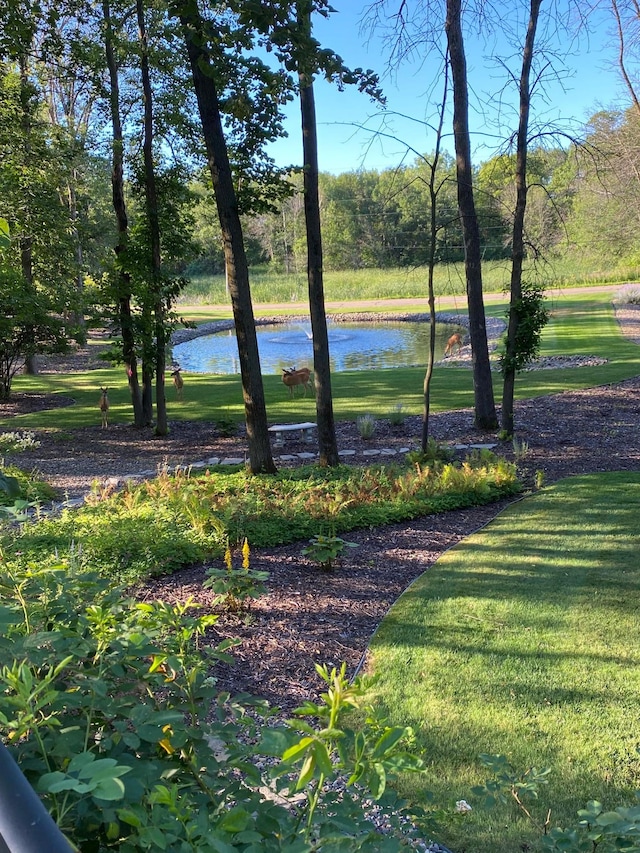 2261 Ash St, Lino Lakes, MN 55110 - view of green lawn with a water view