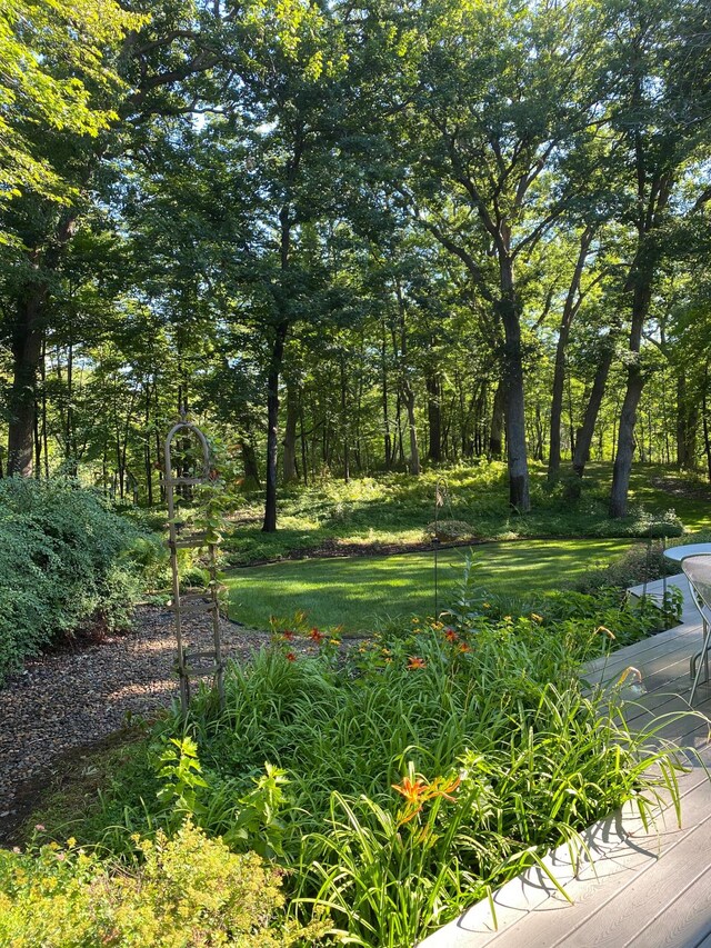 2261 Ash St, Lino Lakes, MN 55110 - view of yard