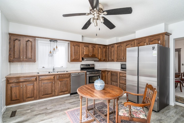 217 6th St, Crookston, MN 56716 - kitchen with stainless steel appliances, under cabinet range hood, light wood finished floors, and decorative backsplash