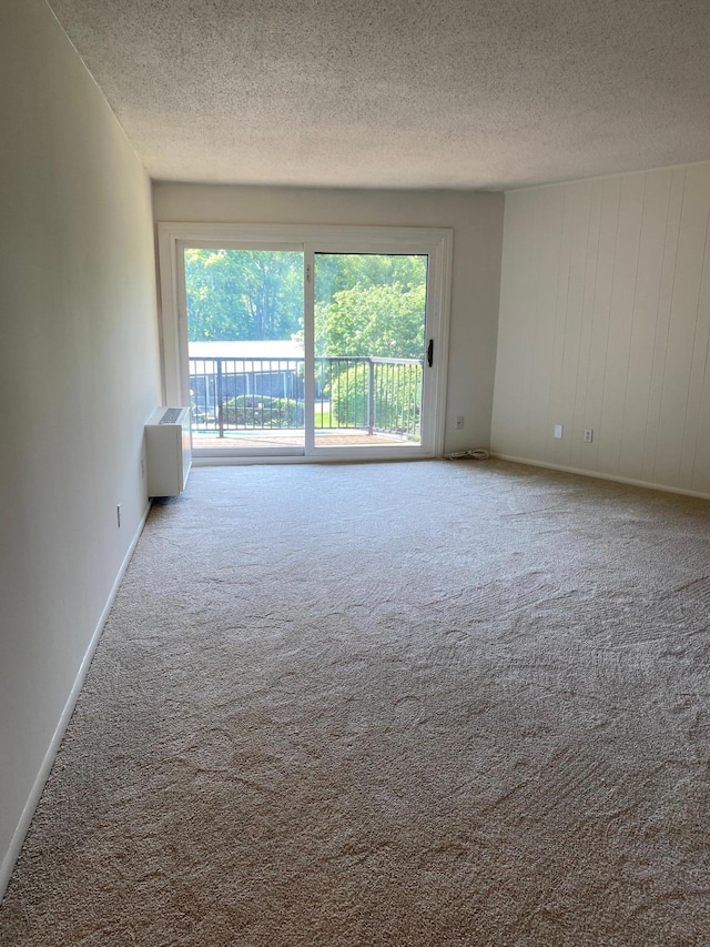 10113 34th St Unit 335, Minnetonka, MN 55305 - carpeted empty room featuring a textured ceiling and plenty of natural light