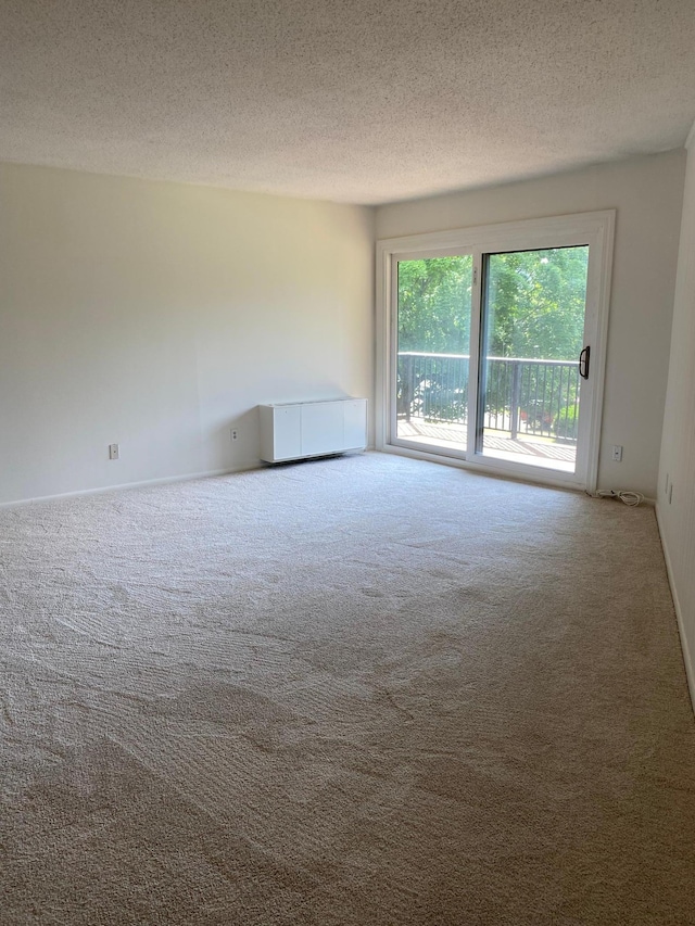 10113 34th St Unit 335, Minnetonka, MN 55305 - carpeted spare room with a textured ceiling
