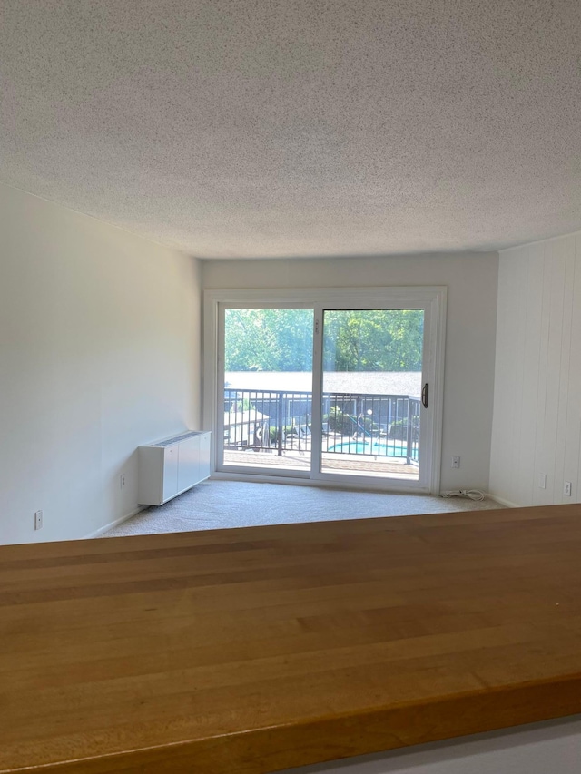 10113 34th St Unit 335, Minnetonka, MN 55305 - empty room with a textured ceiling and plenty of natural light