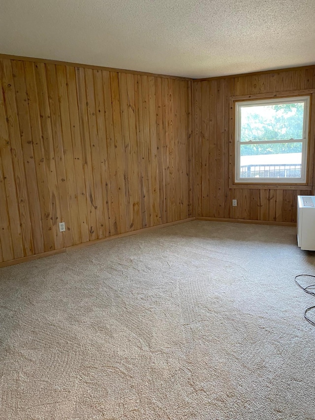 10113 34th St Unit 335, Minnetonka, MN 55305 - carpeted spare room with a textured ceiling and wooden walls