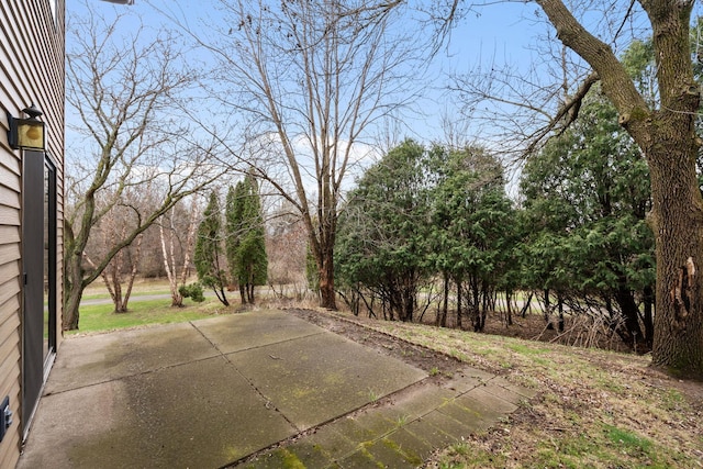 434 11th St Unit D, New Richmond, WI 54017 - view of patio / terrace