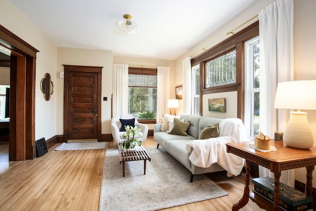 311 Fremont St, River Falls, WI 54022 - living room featuring light wood finished floors and baseboards