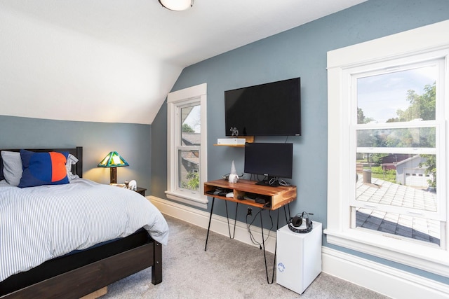 311 Fremont St, River Falls, WI 54022 - carpeted bedroom with lofted ceiling and baseboards