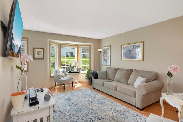 16059 72nd St NE, Otsego, MN 55330 - living area featuring wood finished floors