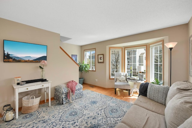 16059 72nd St NE, Otsego, MN 55330 - living area featuring wood finished floors and baseboards